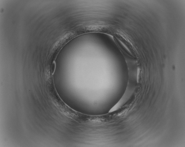 X0000073730407200608241302