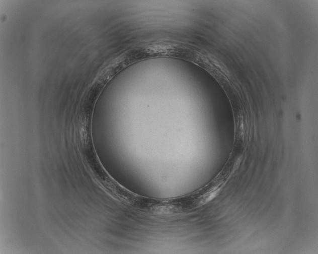 X0000073730408200608241302