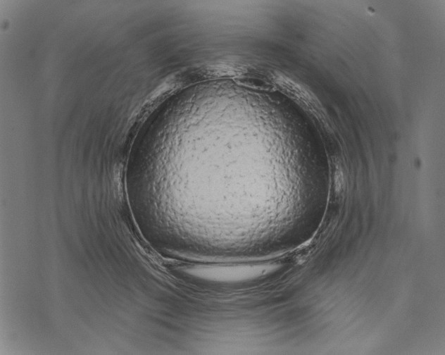 X0000073730409200608241302