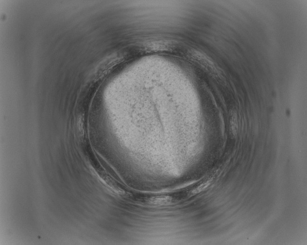 X0000073730410200608241302