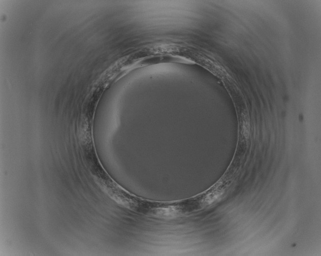 X0000073730411200608241302