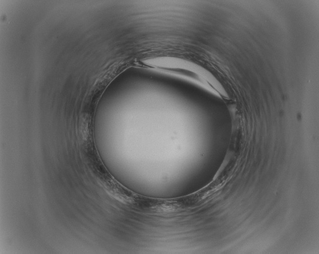 X0000073730412200608241302