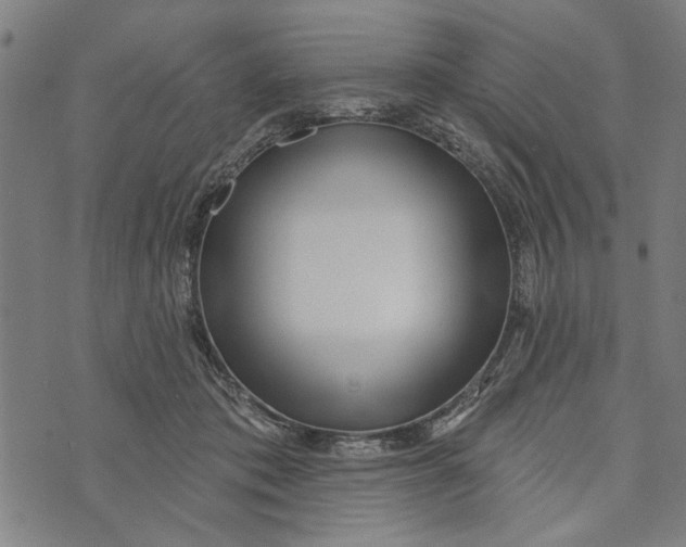 X0000073730413200608241302