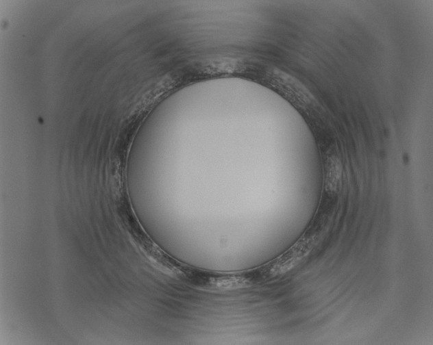 X0000073730414200608241302