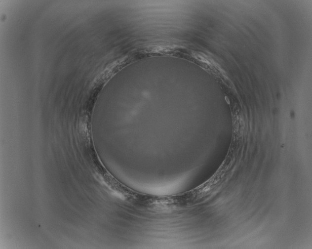 X0000073730415200608241302