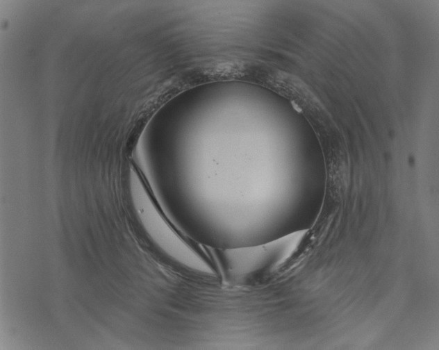 X0000073730416200608241302