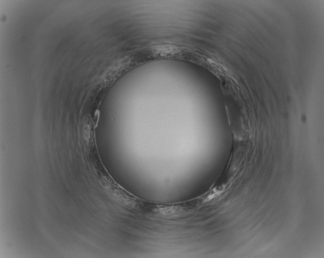 X0000073730417200608241302