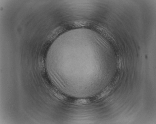 X0000073730418200608241302