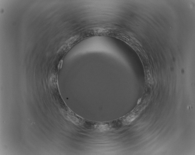 X0000073730419200608241302