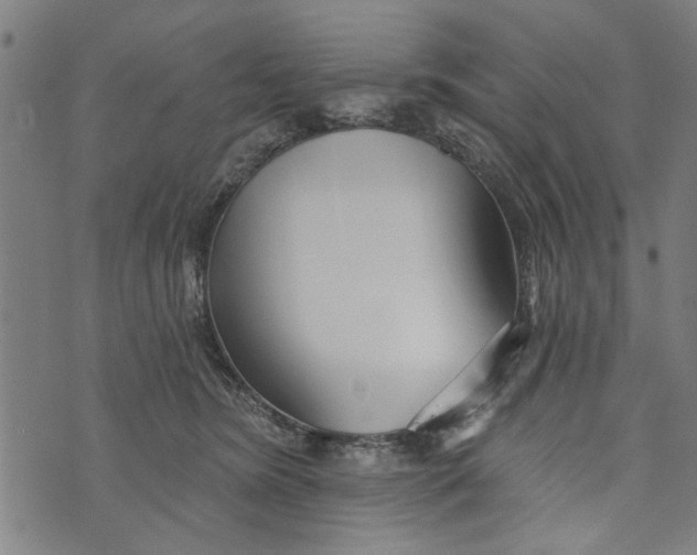 X0000073730420200608241301