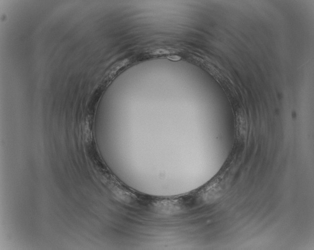 X0000073730422200608241301