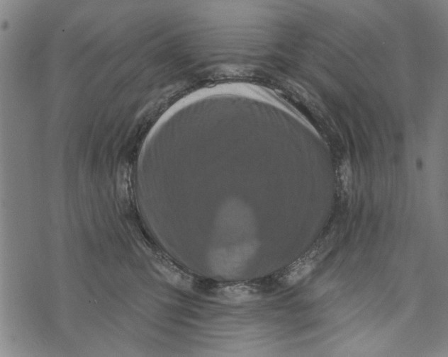 X0000073730423200608241301