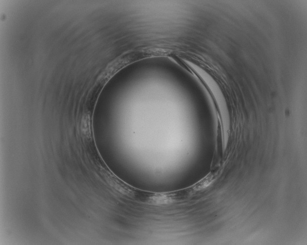 X0000073730425200608241301