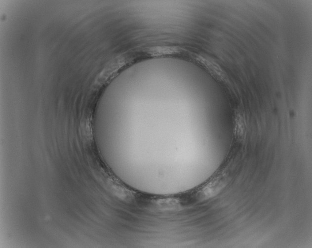 X0000073730426200608241301