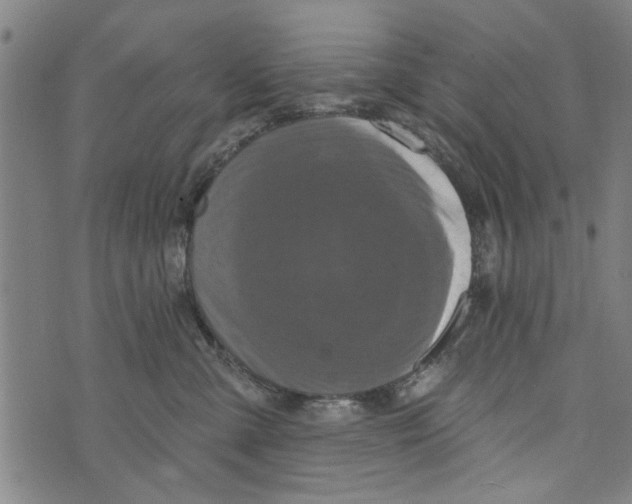 X0000073730427200608241301