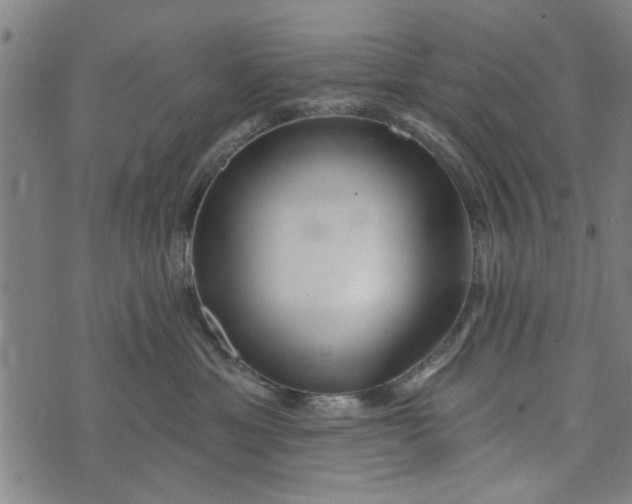 X0000073730429200608241301