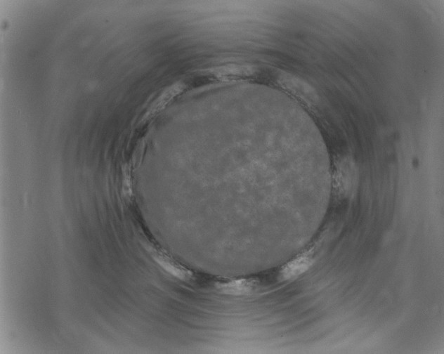 X0000073730430200608241301