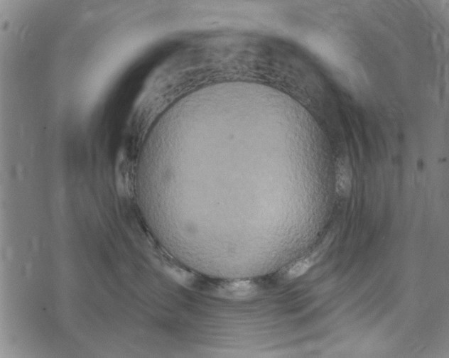 X0000073730431200608241301