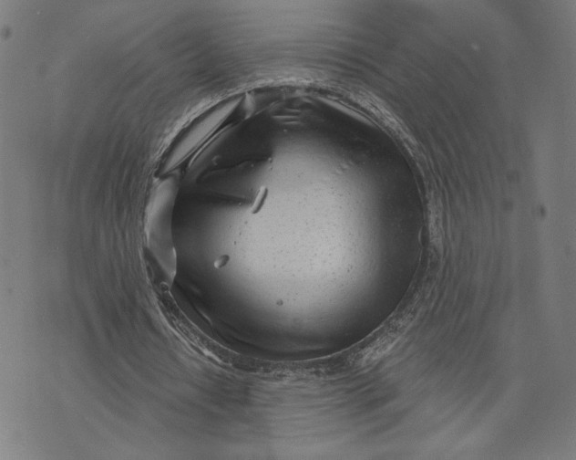 X0000073730434200608241301