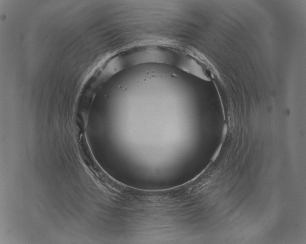 X0000073730436200608241301