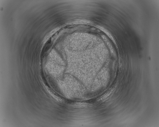 X0000073730437200608241301