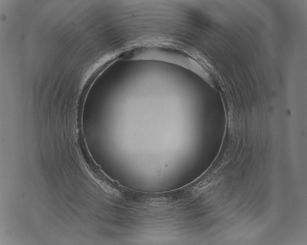 X0000073730438200608241301