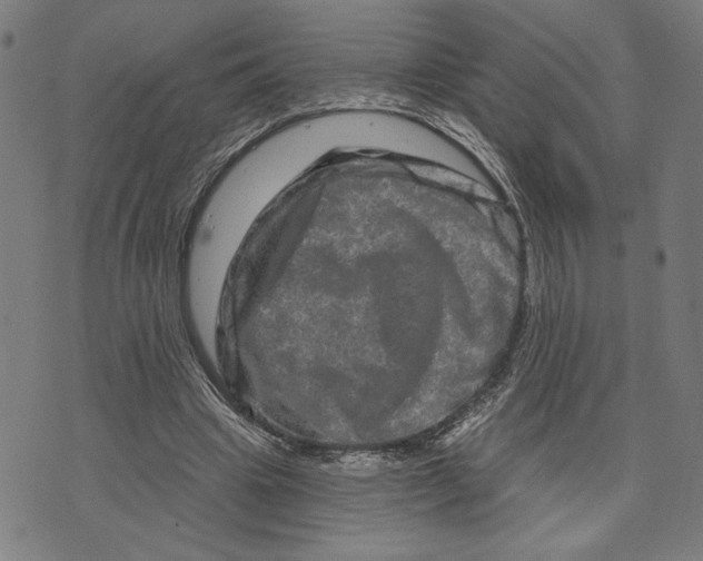 X0000073730441200608241301