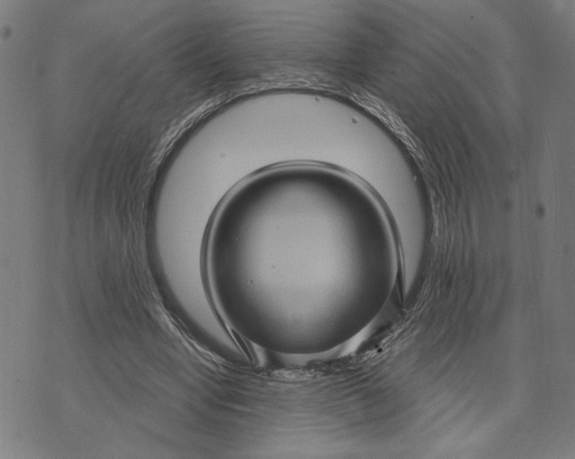 X0000073730442200608241301