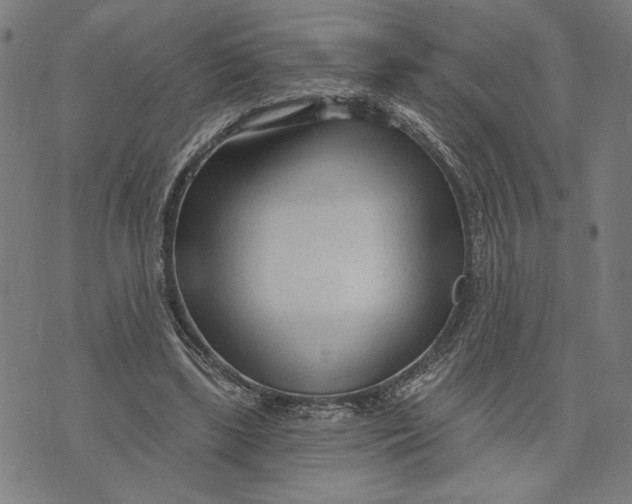 X0000073730443200608241301