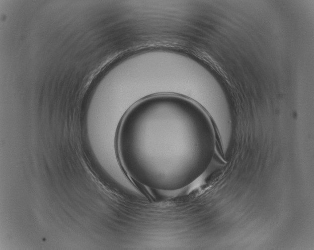 X0000073730444200608241301