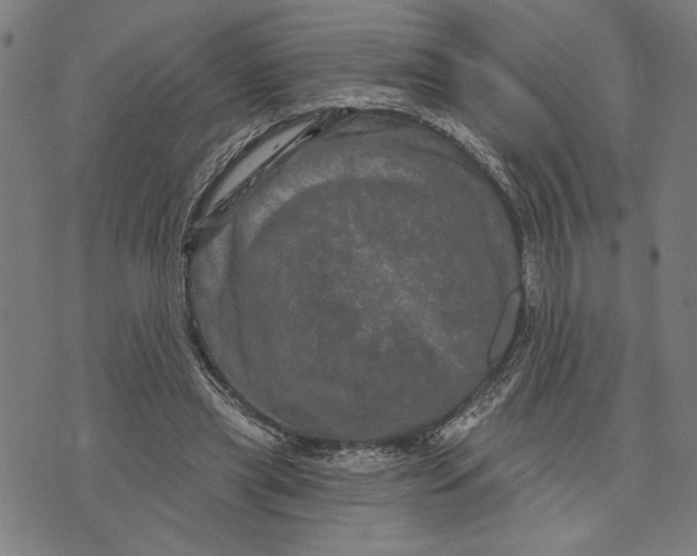 X0000073730445200608241301