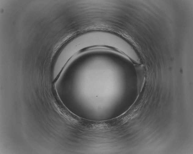 X0000073730446200608241301