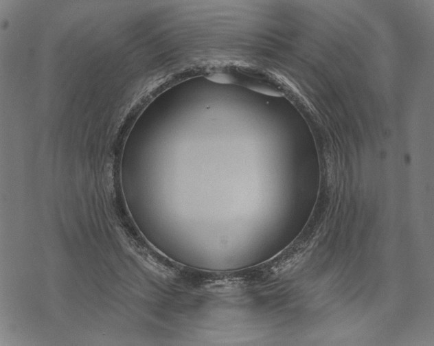 X0000073730447200608241301