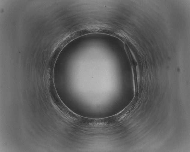 X0000073730448200608241301