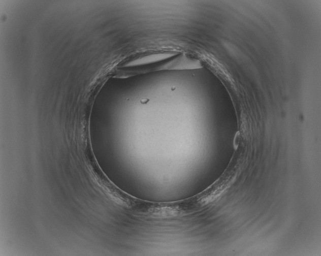 X0000073730449200608241301