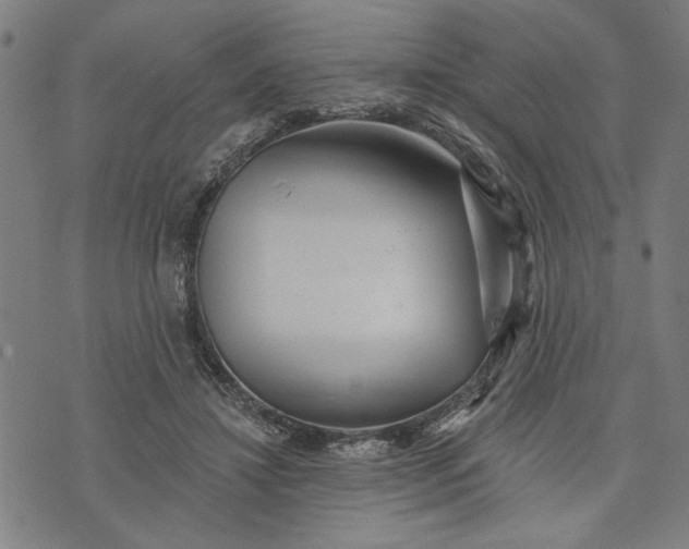 X0000073730452200608241301