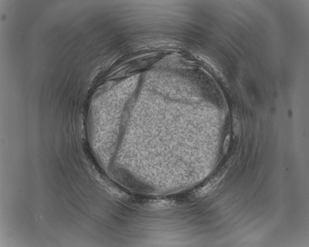 X0000073730453200608241301