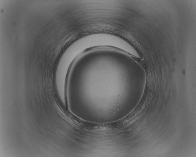 X0000073730454200608241301