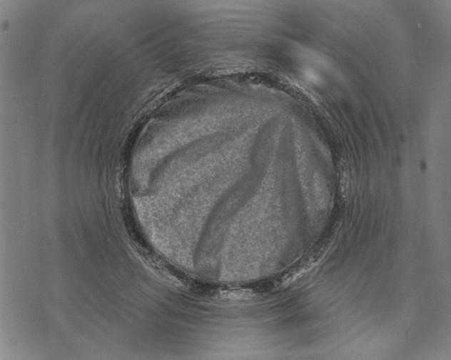 X0000073730455200608241301