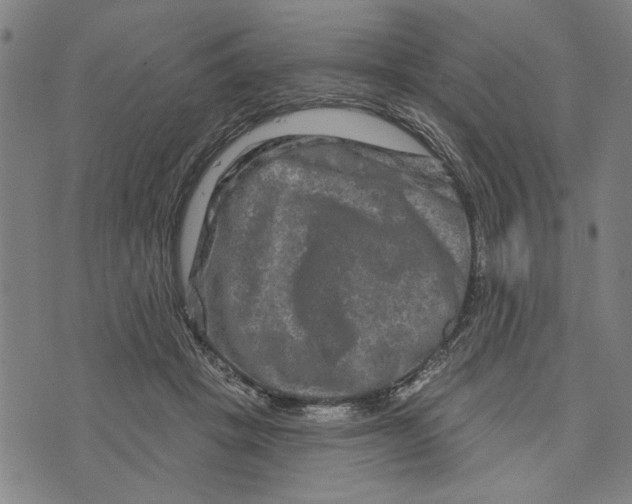 X0000073730457200608241301