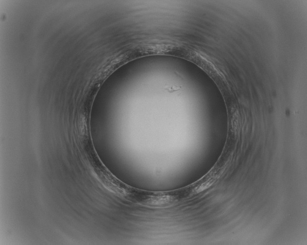 X0000073730459200608241301