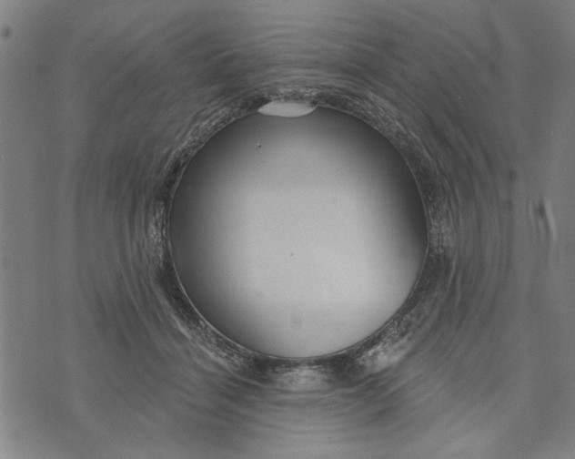 X0000073730460200608241301