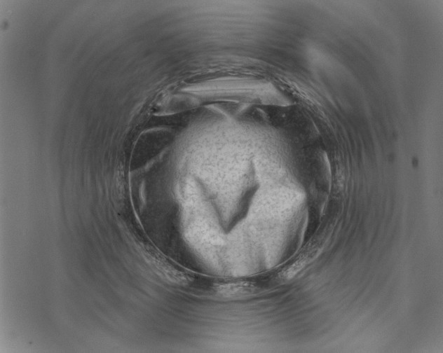 X0000073730461200608241301