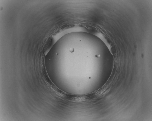 X0000073730462200608241301