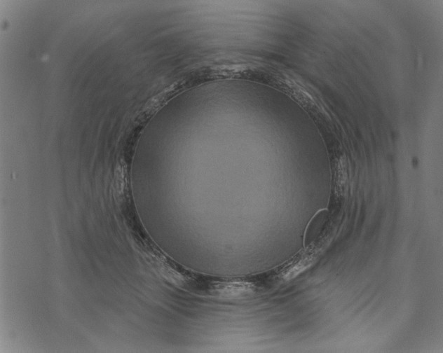 X0000073730463200608241301