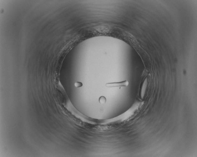 X0000073730464200608241301