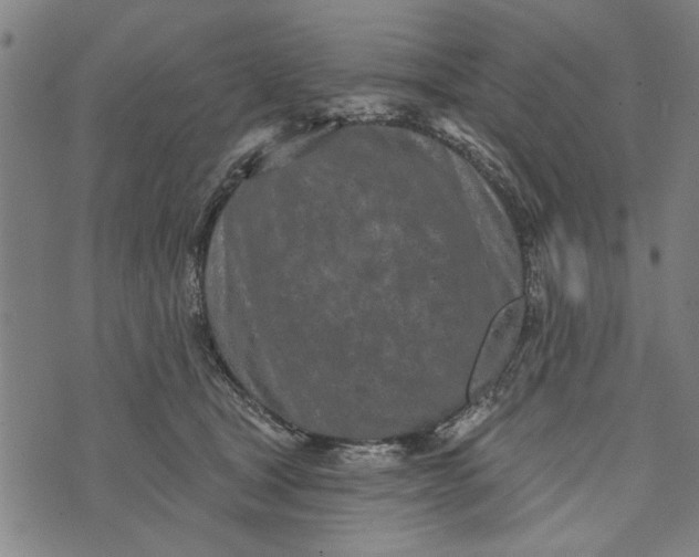 X0000073730465200608241301