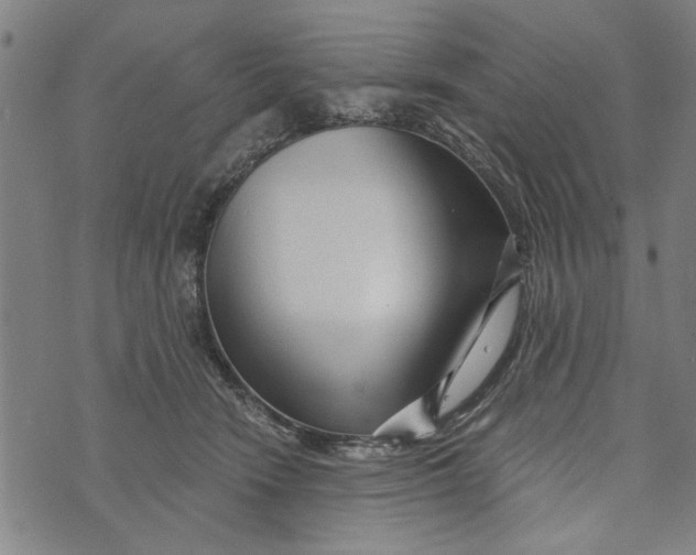 X0000073730466200608241301