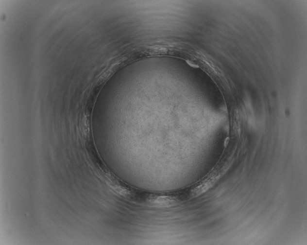 X0000073730467200608241301