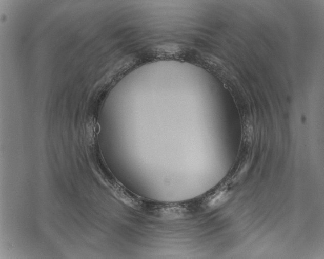 X0000073730468200608241301